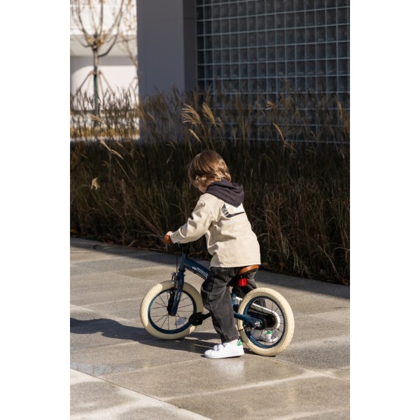 Фото - Двоколісний велосипед Qplay Miniby 3в1 Greyish-Blue (CB01MiniByGreyish-Blue)